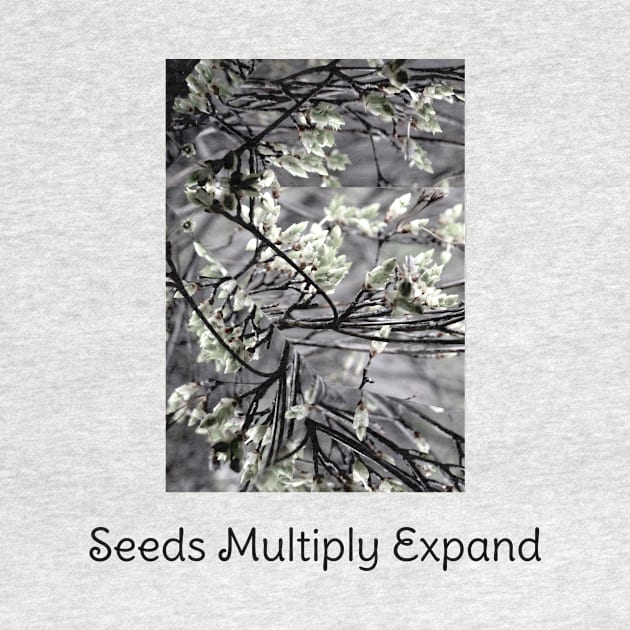 Kaleidoscope Therapy Seeds Multiply Expand by Kaleidoscope Therapy